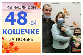 Нежная Кику стала домашней кошечкой!