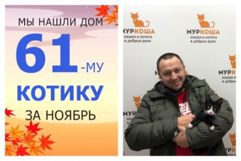 Малыш Флип нашел дом за один месяц!