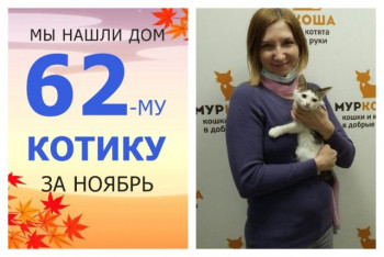 Котёнок Бонибон встретил заботливую хозяйку!