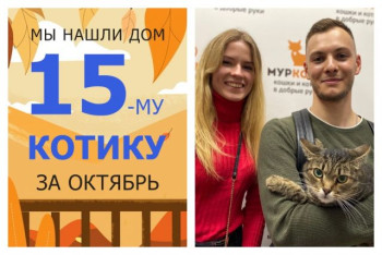 Котик Филька обрел дом и семью!