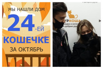 Кошечка Глазурь нашла новый дом за три недели!