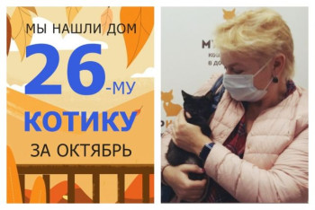 Сердце котёнка Маузера теперь в надёжных руках!
