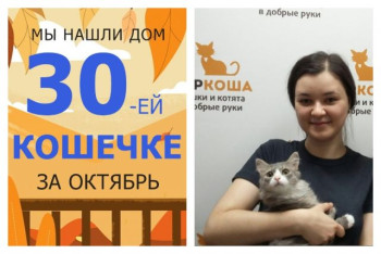 Нежная кошечка Касуми встретила свою семью!