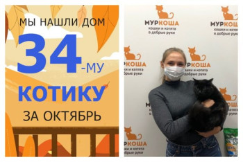 Годовалый Шоколад получил второй шанс на домашнее счастье!