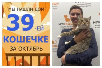 Кошечка Мирабель стала снова домашней и любимой!