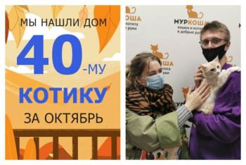 Солнечный малыш Скиппи отправился домой!