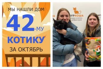 Котик Диего уезжает в новый дом!
