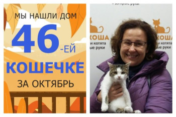 Кошечка Варенье стала домашней любимицей!