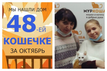 Белоснежная кошечка Жасминка встретила свою семью!