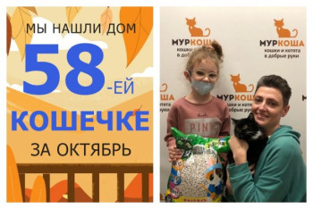 Малышка Шарик теперь домашняя любимица!