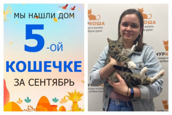 Кошечка Изумрудка теперь домашняя и счастливая!