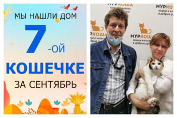 Кошечка Карамель начинает сладкую домашнюю жизнь!