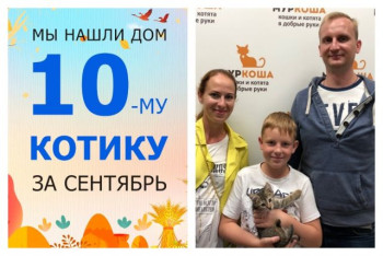 У котёнка Славки появилась настоящая семья!