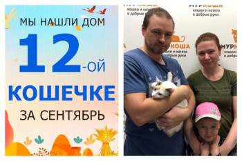 Нежная кошечка Плюшка отправилась домой!