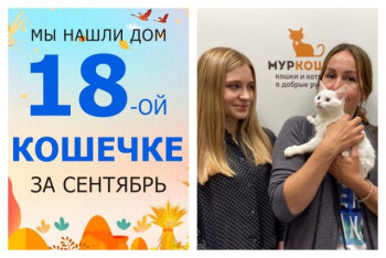 Крошка Волнушка обрела семью и дом!