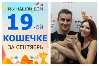 Кошечка Зефирка начинает новую жизнь!
