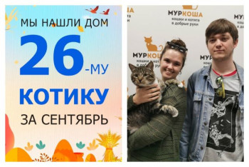 Котик Софт встретил заботливых хозяев!