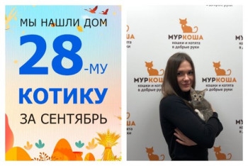 Малыш Лерой теперь домашний котик!