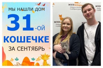 Кошечка Мамбуру стала домашней за две недели!