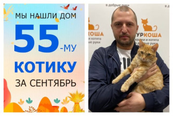 У котика Чеддера появился надёжный друг!