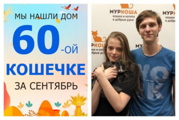 Трёхмесячная крошка Мориса отправилась в домашнюю жизнь!