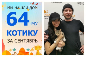 Котёнок Опёнок стал домашним и любимым!