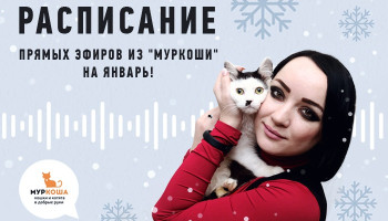 Расписание прямых эфиров на январь!