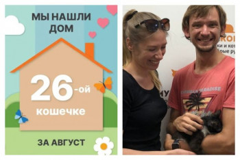 Новости