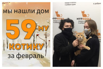 Котик Маркел стал домашним любимцем!