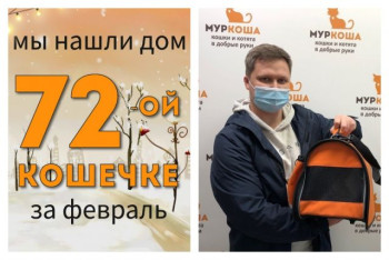 Кошечка Руана отправляется домой!