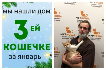 Кошечка Умка стала домашней!