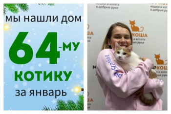 Котик Мяка отправился домой!