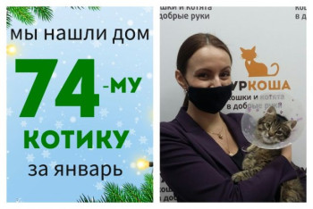 Котик Винтик стал домашним и любимым!
