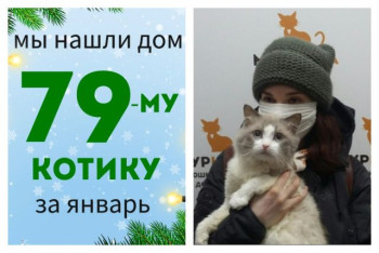 Котик Тироль стал домашним всего за месяц!