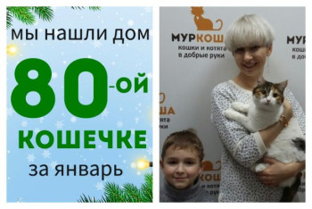 Кошечка Алоха встретила свою любящую семью!