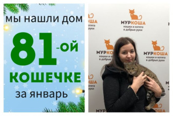 Кошечка Вайнона нашла дом за полтора месяца!