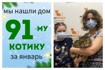 Девятилетний Кушон начинает новую домашнюю жизнь!