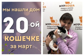 Кошечка Аделис начинает новую жизнь!