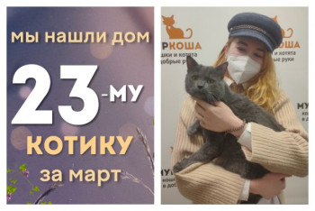 У котика Фомика появилась заботливая хозяйка!