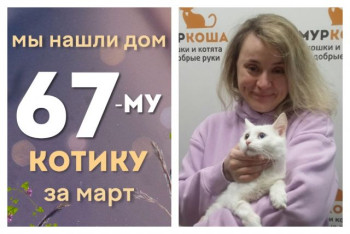 Котик Колумб стал домашним за два месяца!