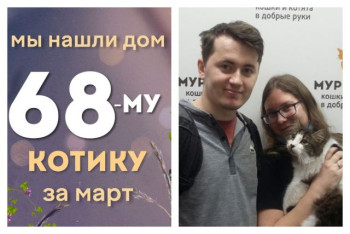 Котик Махоня стал домашним и счастливым!