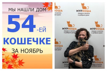 Миленькая Пупуся уезжает в новый дом!