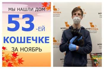 Жизнь юной кошечки Мизуки теперь в надежных руках!