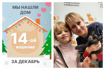 Милая кошечка Чунга отправилась домой спустя две недели!