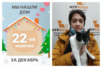 Кошечка Касандра отправляется в домашнюю жизнь!
