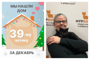 Котёнок Стразик стал домашним всего за месяц!