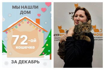 Кошечка Прима спустя месяц отправилась домой!