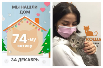 Ласковый малыш Йетти встретил прекрасную семью!