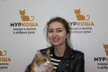 Кошечка Дуся обрела дом