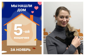 Крошка Черногория нашла дом за два месяца!
